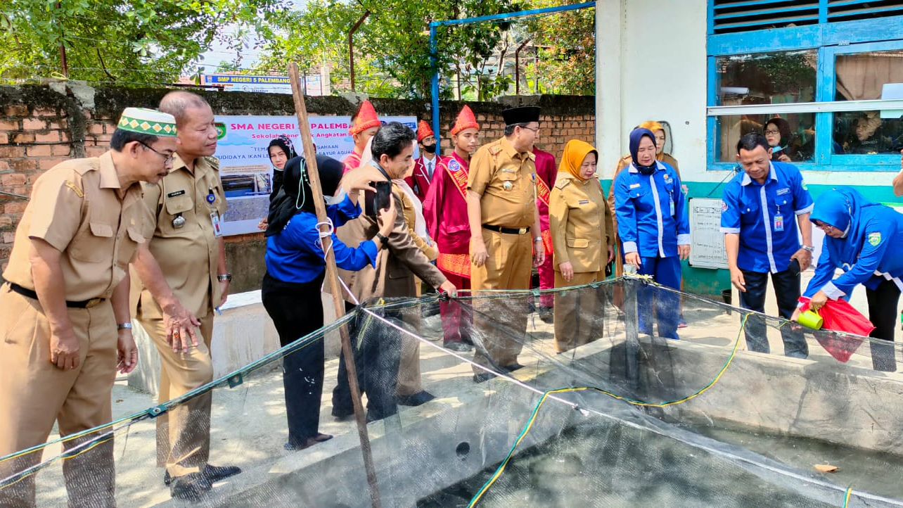 Peninjauan Tema Projek : Budidaya Ikan Lele dan Tanaman Sayur Aquaponik