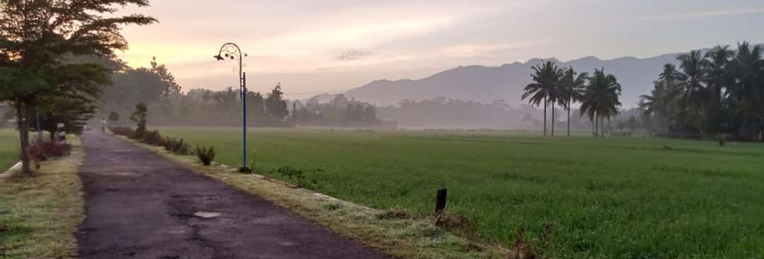 Jalan menuju sekolah