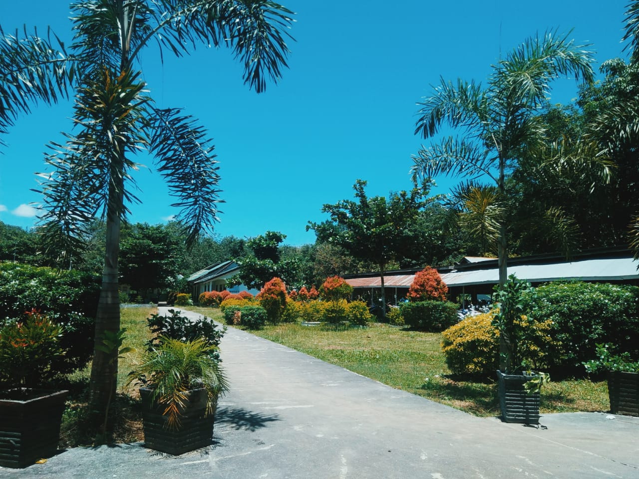 Gedung SMAN 1 Jabiren Raya