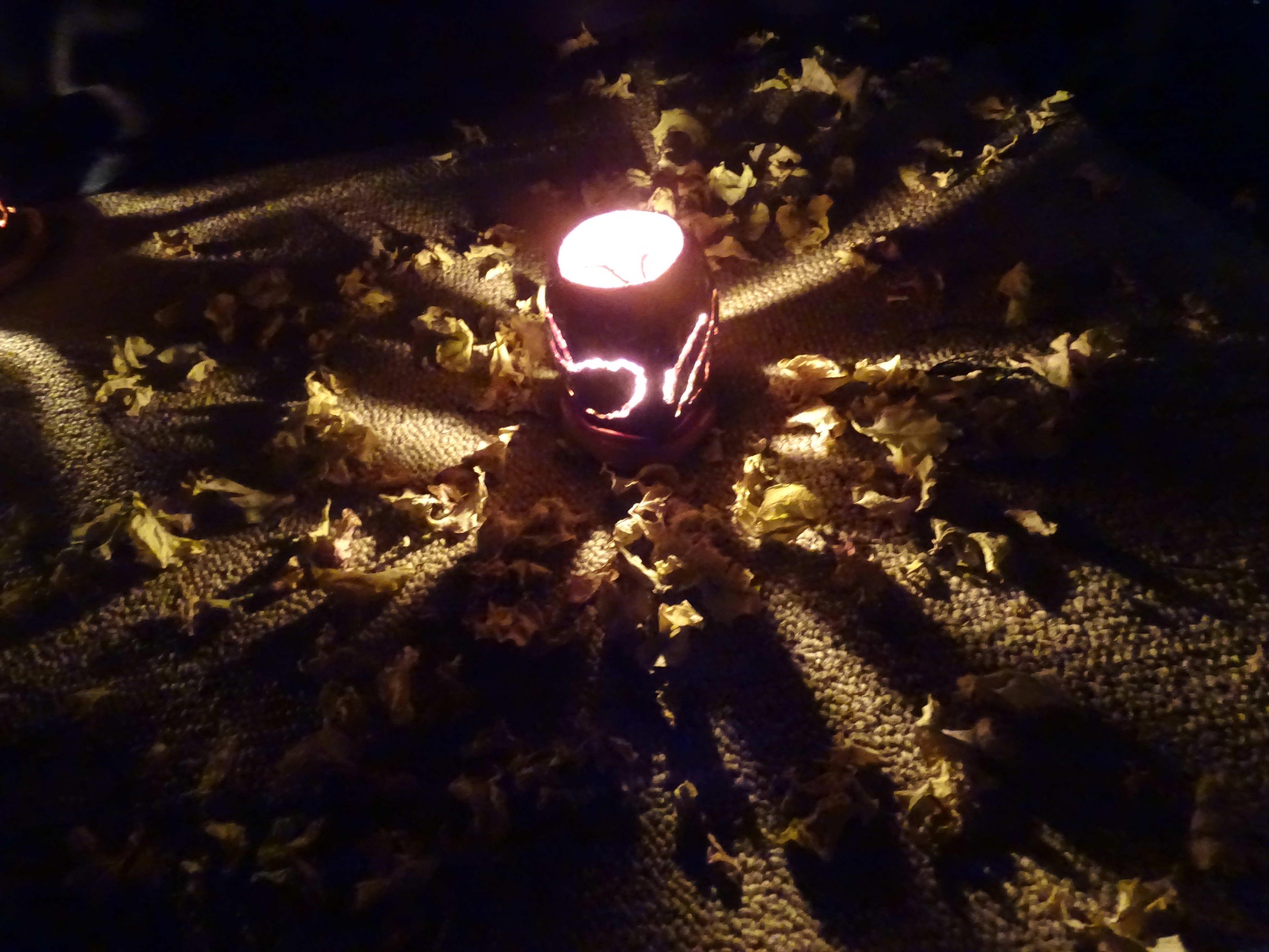 Wakalipi (Wadah Cacao Lilin Aroma Terapi)