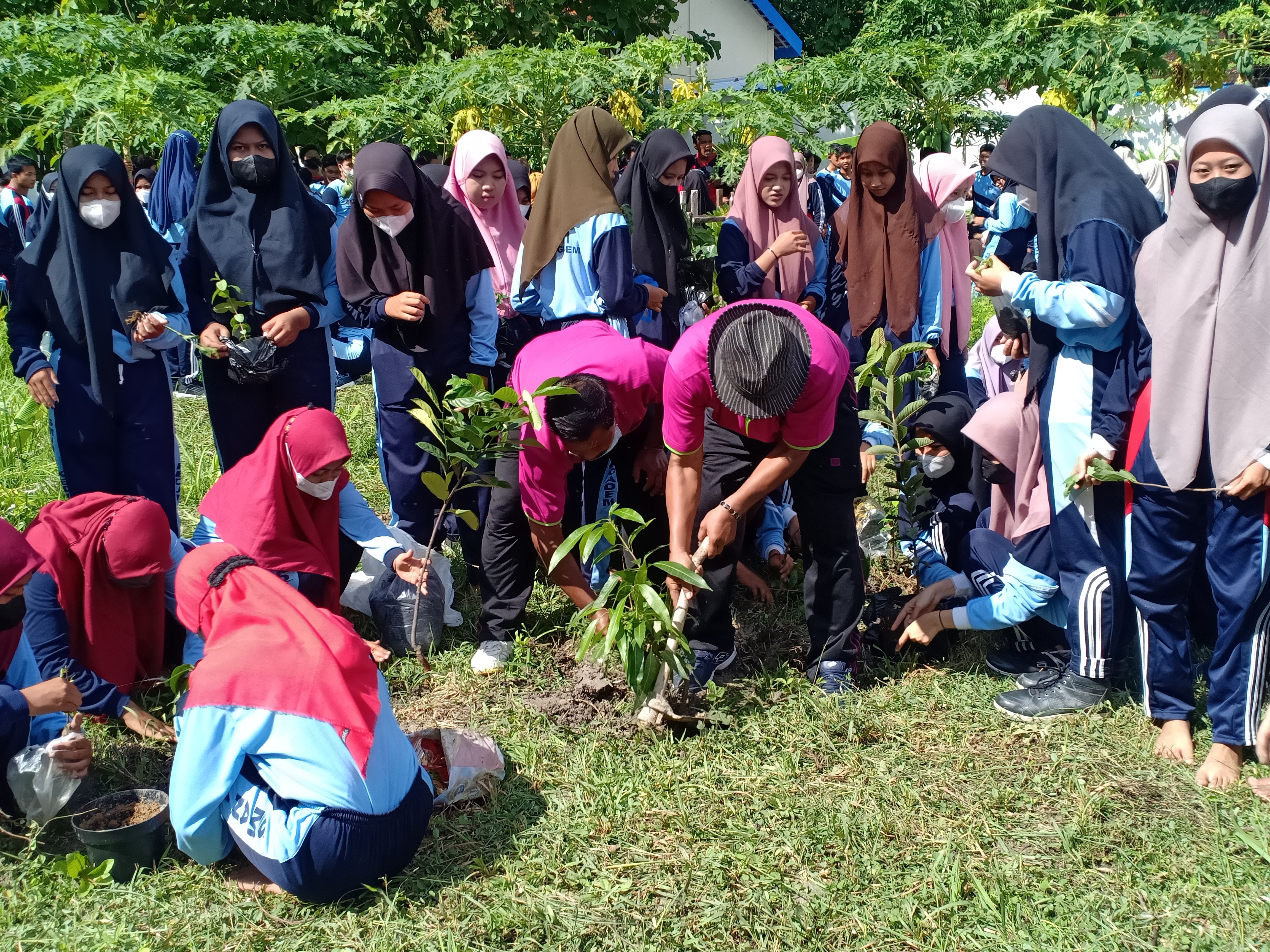 Hari Menanam Pohon
