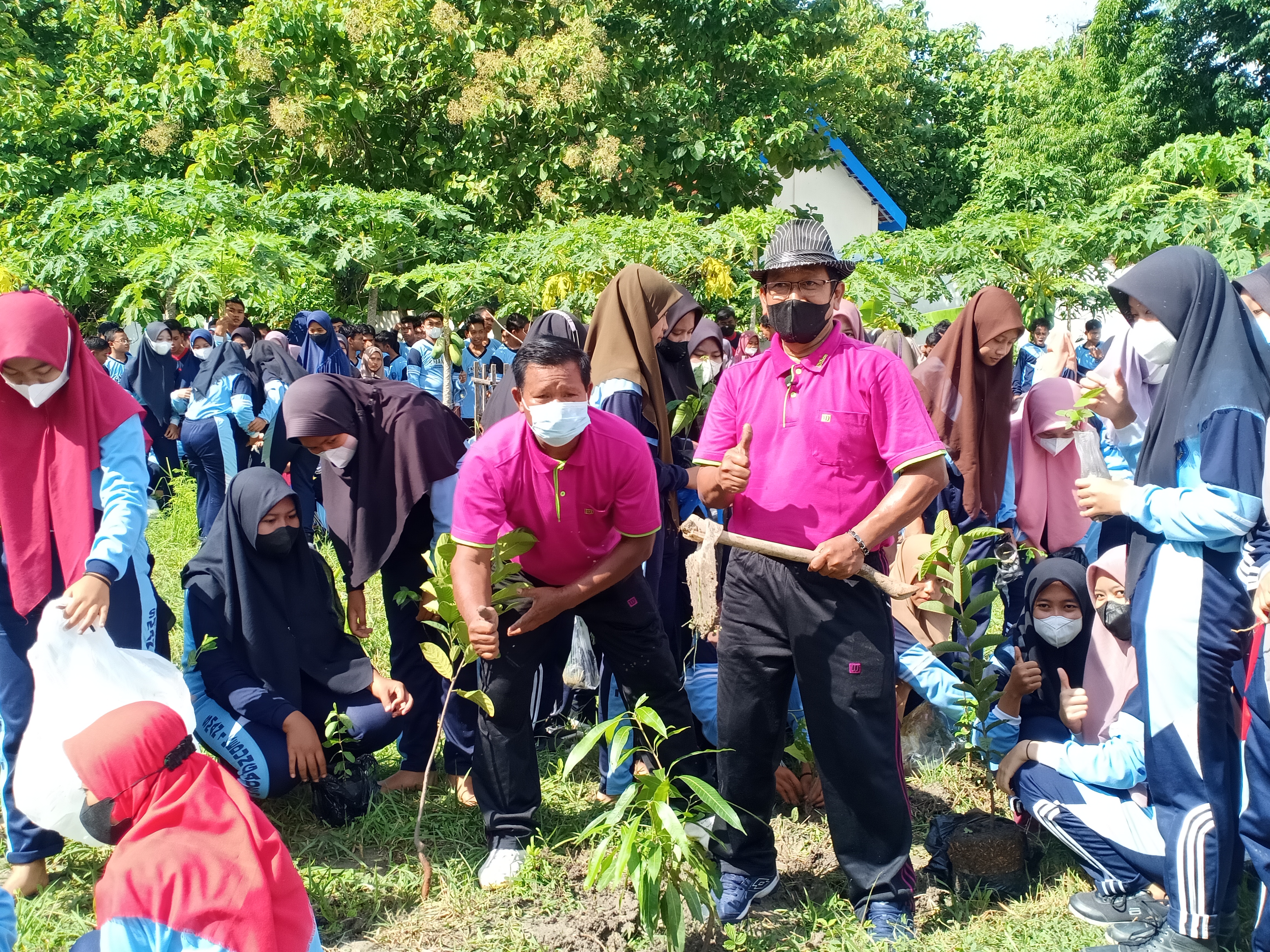 Hari Menanam Pohon