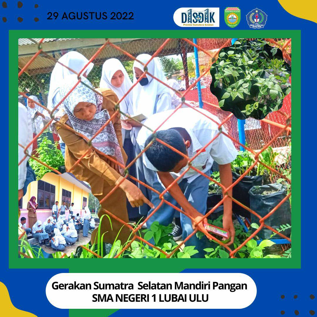 Serba Serbi SMAN 1 Lubai Ulu