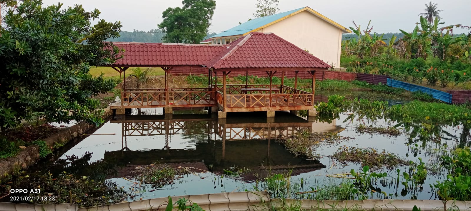 lingkungan sekolah