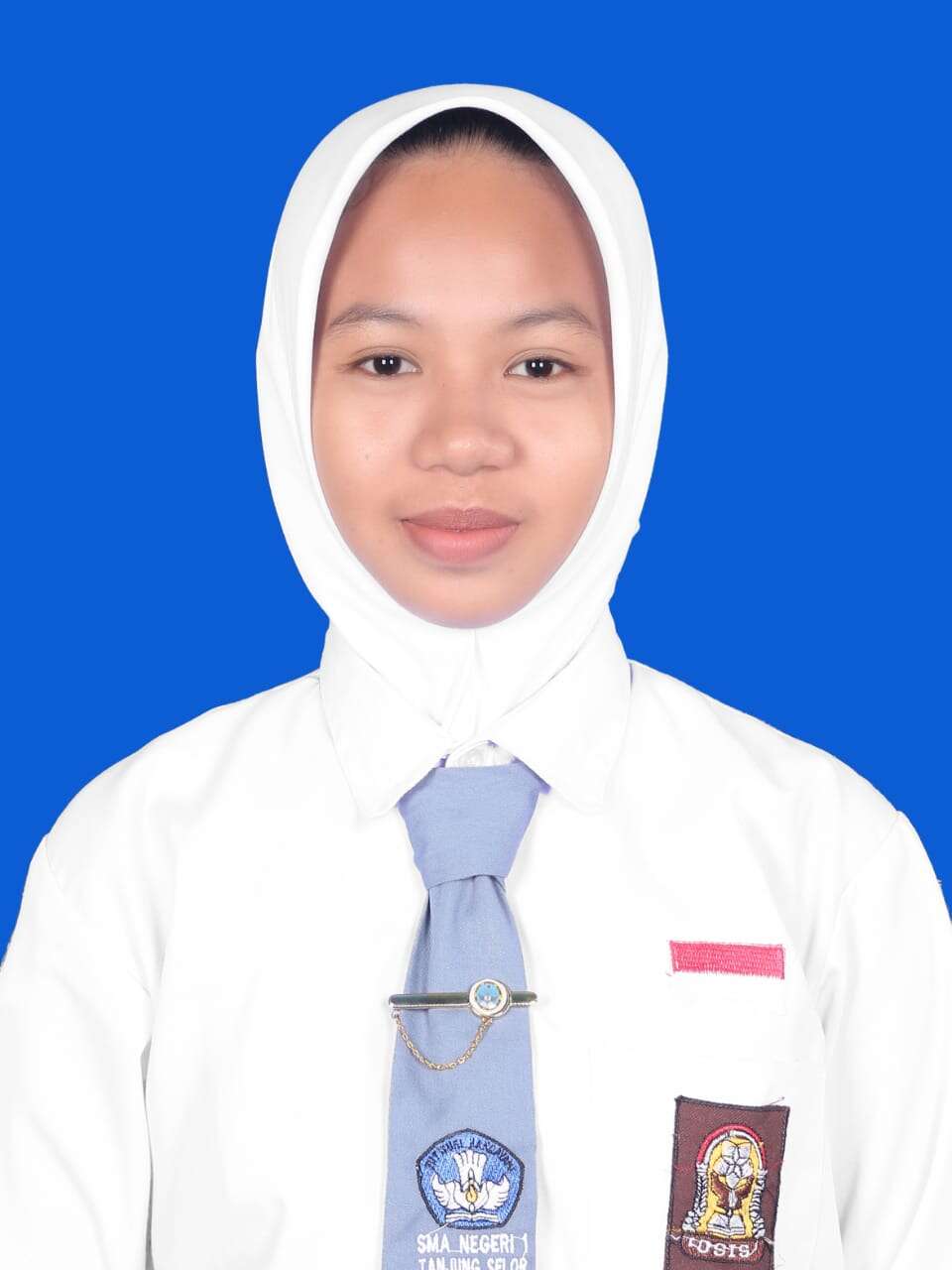 Ayu Arina Hidayah