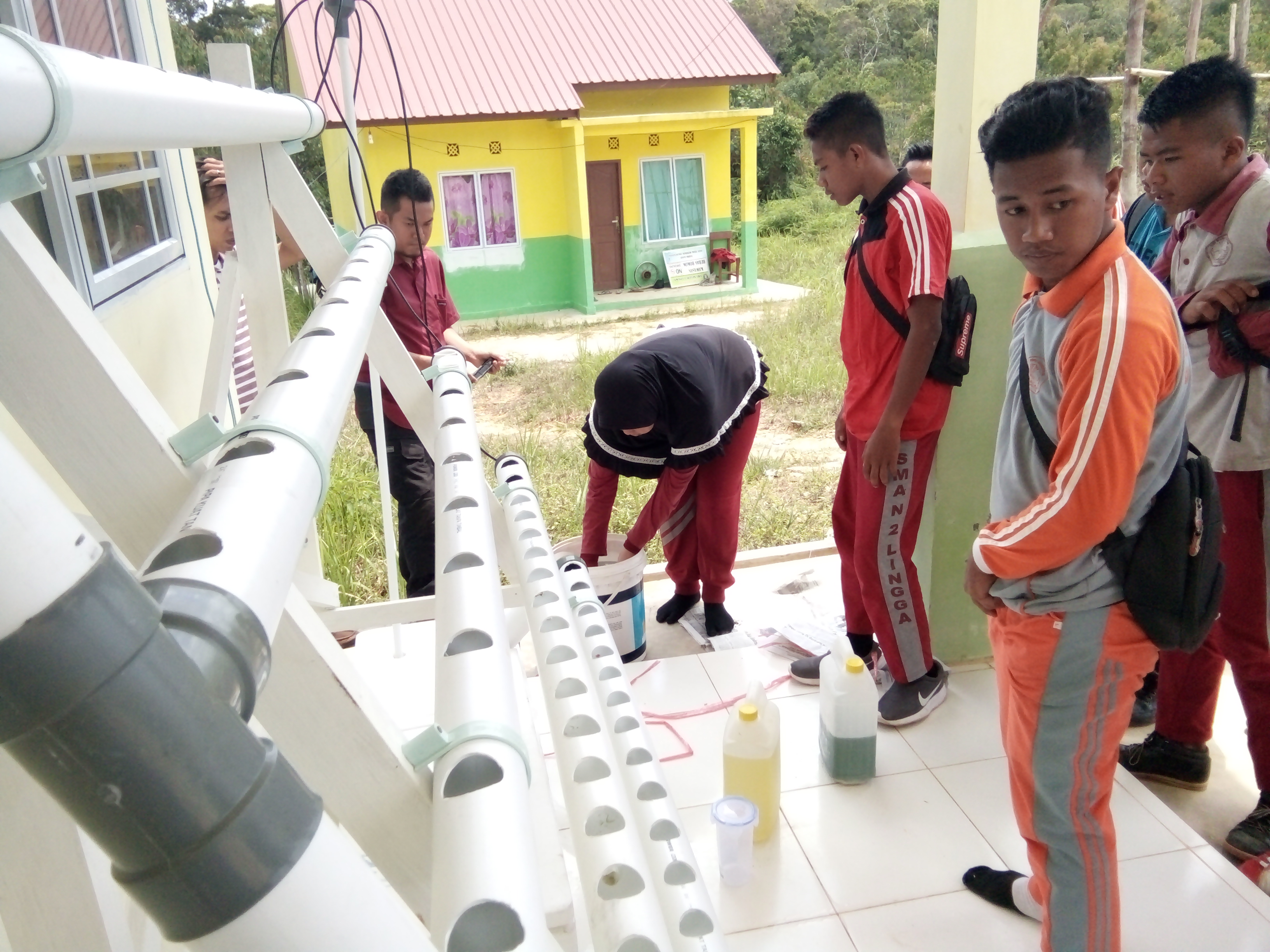 ESKUL WIRAUSAHA HYRDOPONIK SMA NEGERI 2 LINGGA