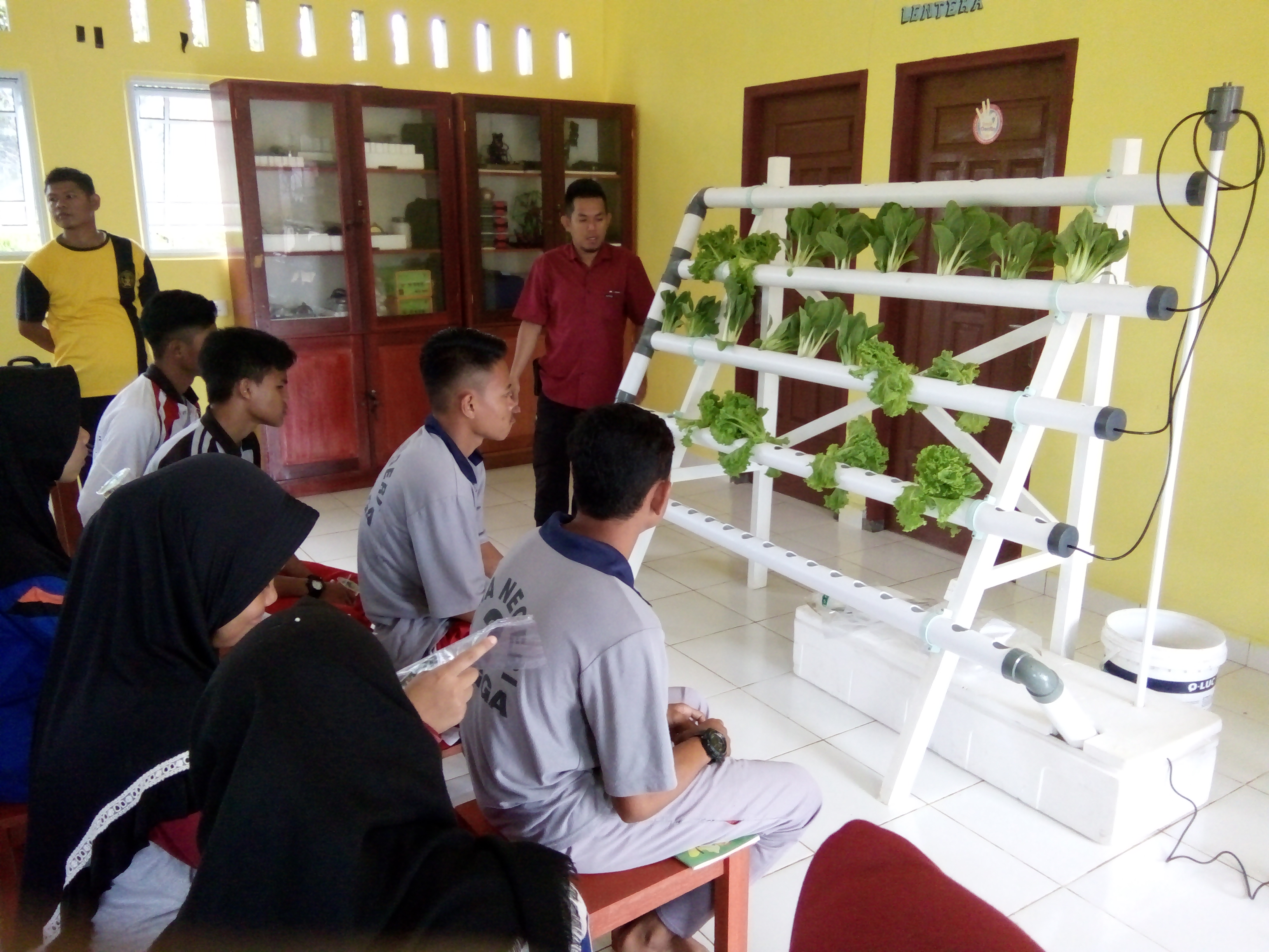 ESKUL WIRAUSAHA HYRDOPONIK SMA NEGERI 2 LINGGA