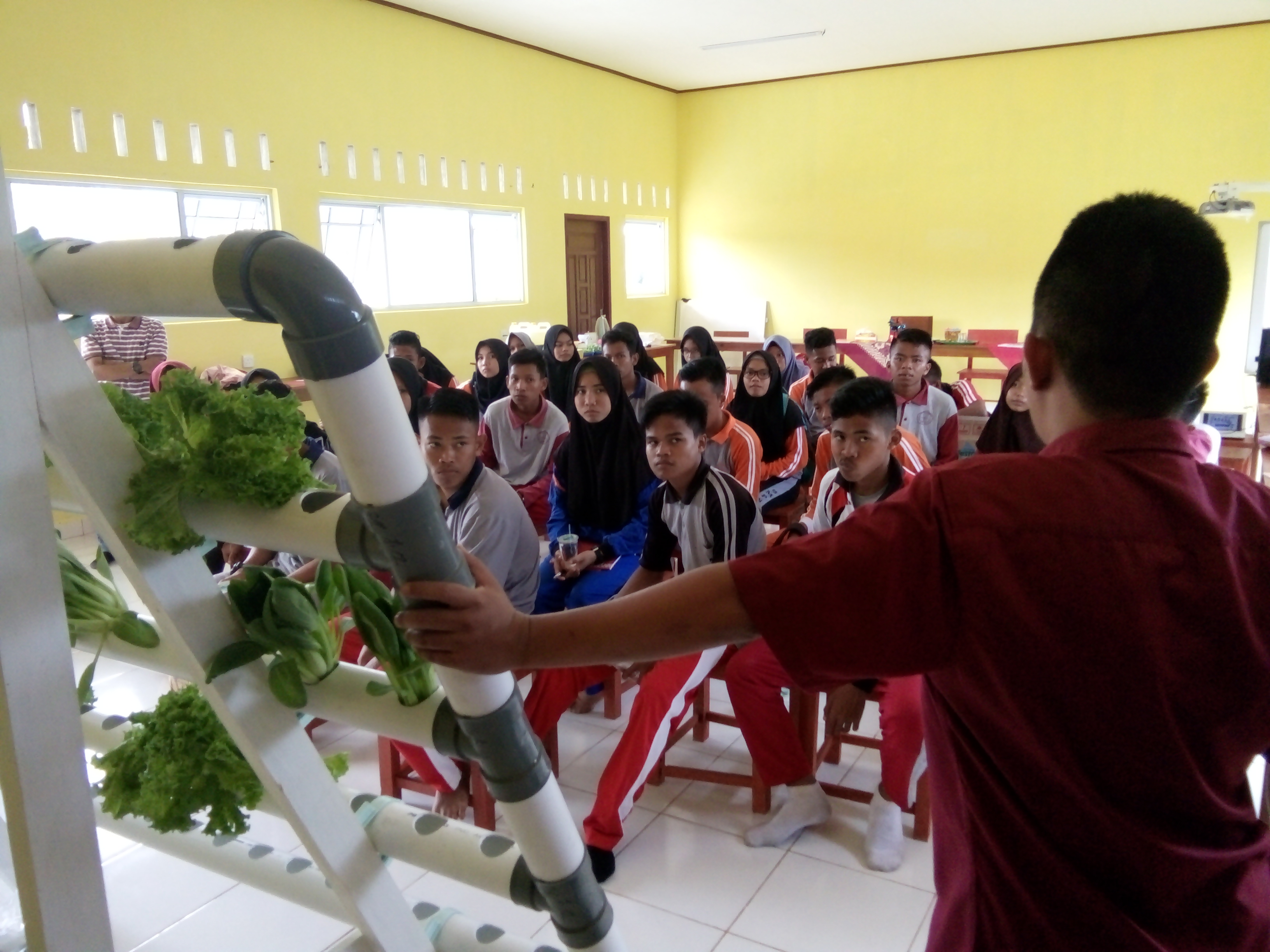 ESKUL WIRAUSAHA HYRDOPONIK SMA NEGERI 2 LINGGA
