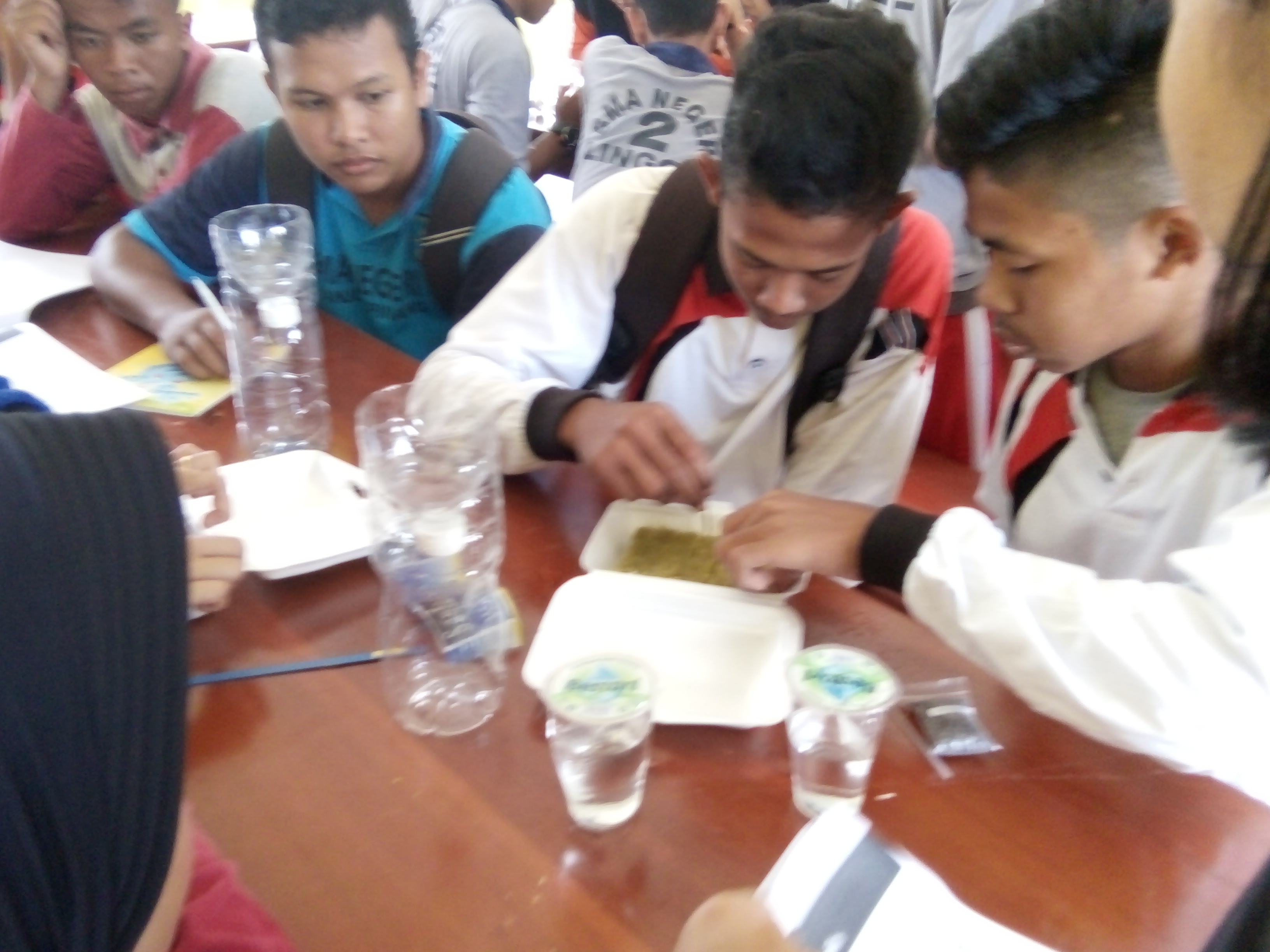 ESKUL WIRAUSAHA HYRDOPONIK SMA NEGERI 2 LINGGA