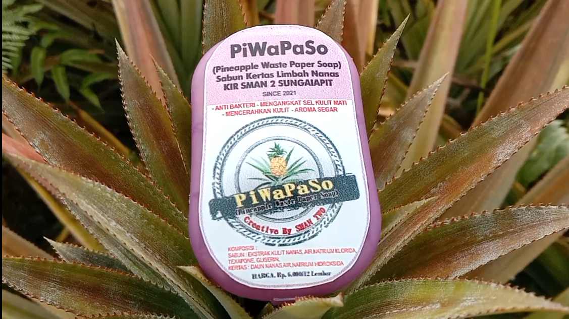 PiWaPaSo