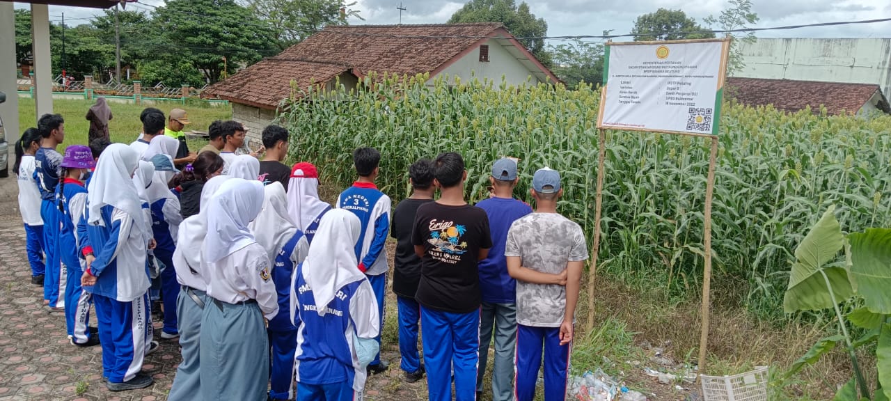 P5. Petanian. kunjunga ke LPTI