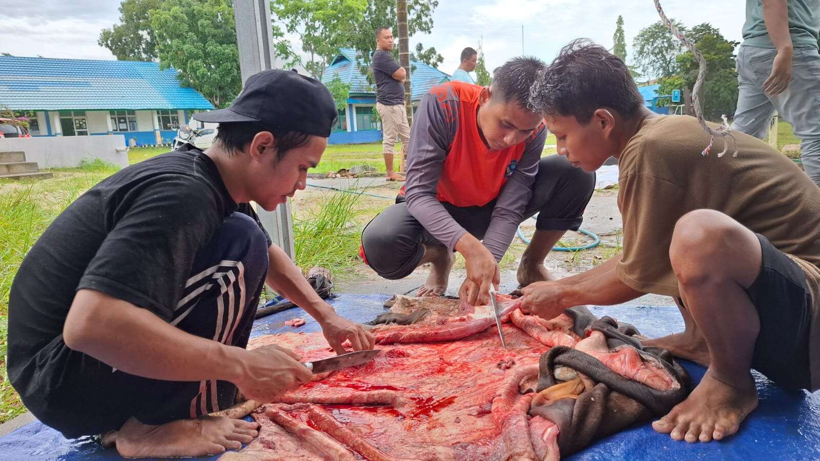 Perayaan Kurban 1446H