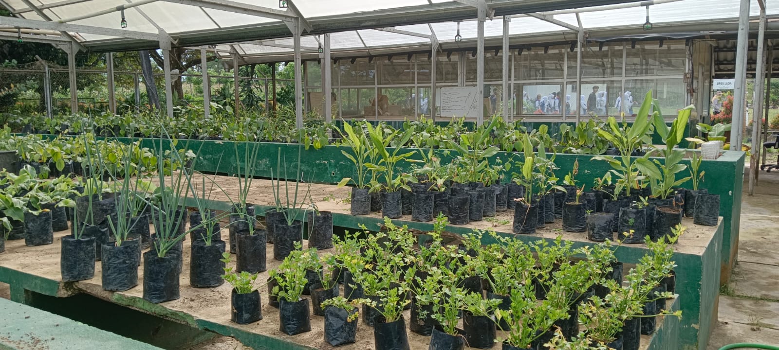 P5. Petanian. kunjunga ke LPTI