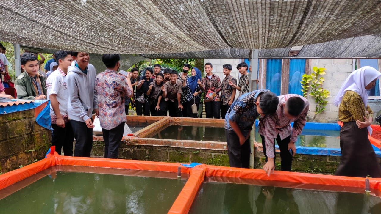 Project 5 kunjungan  Budidaya Lele