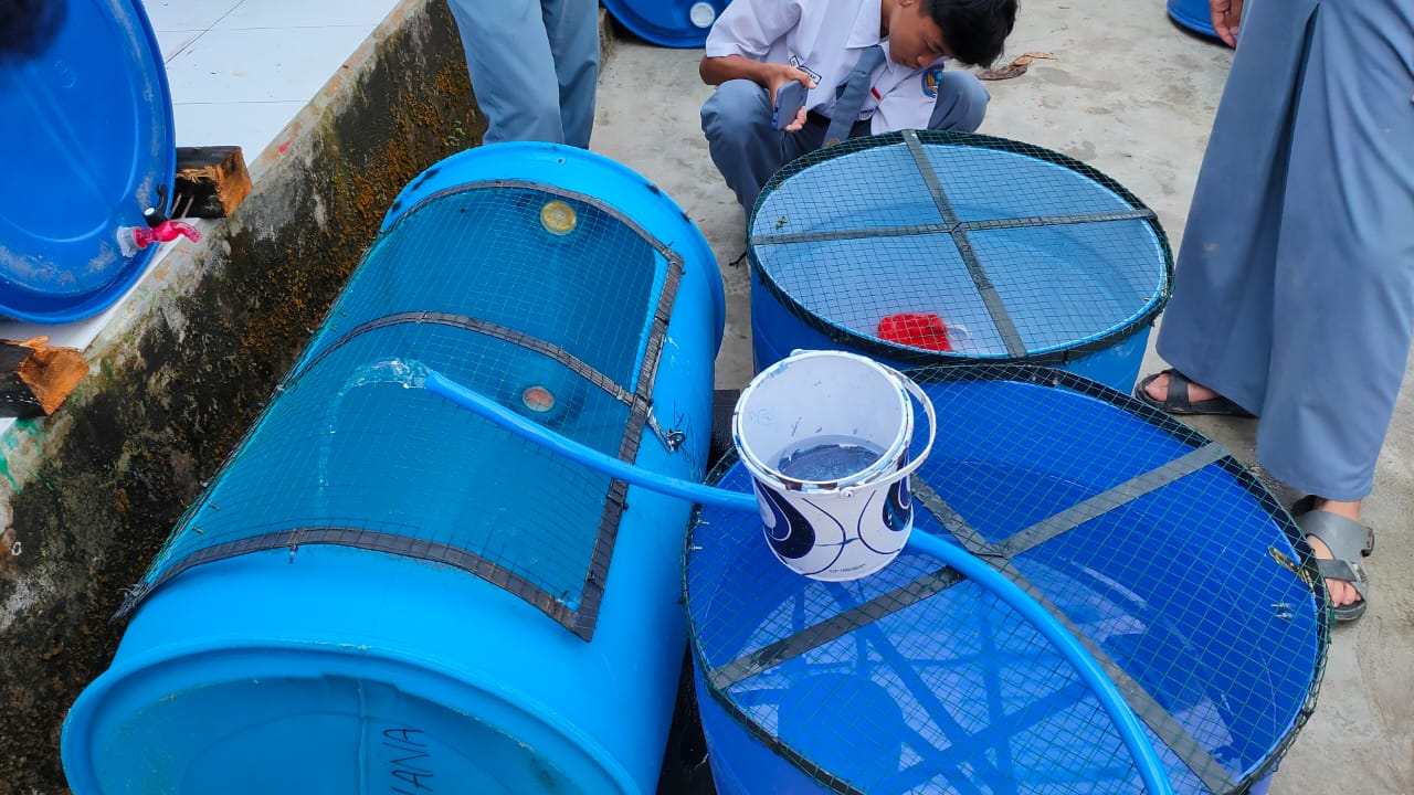 P5 Persiapan Budidaya Lele