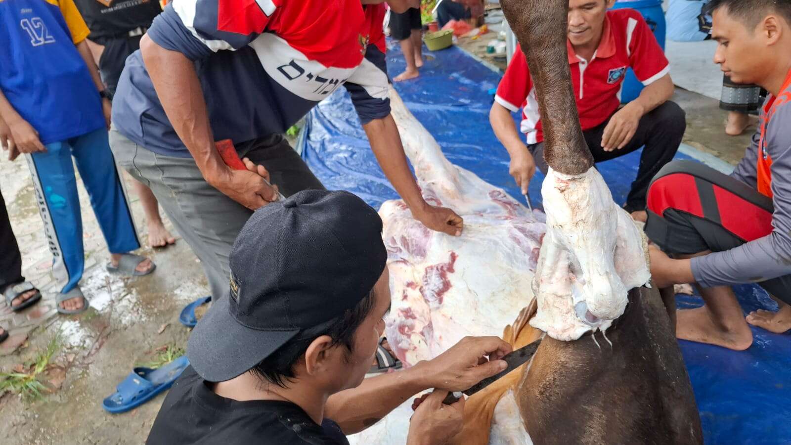 Perayaan Kurban 1446H