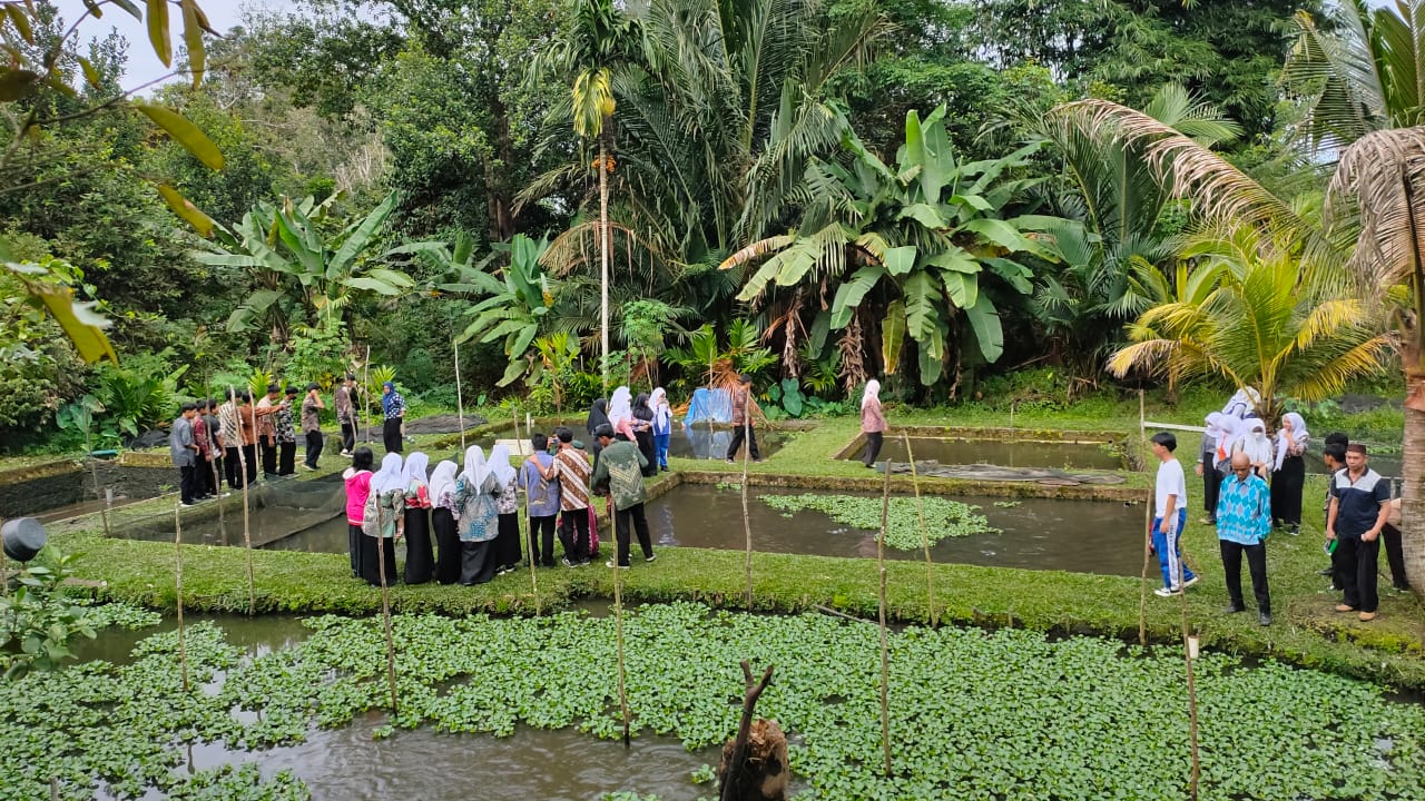 Project 5 kunjungan  Budidaya Lele
