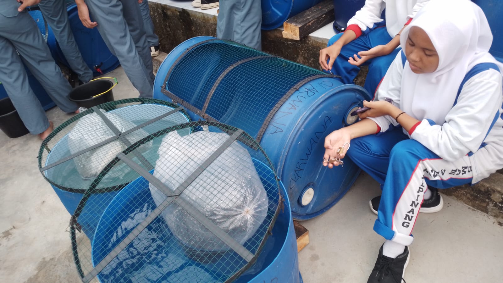 Pengisian Bibit Lele