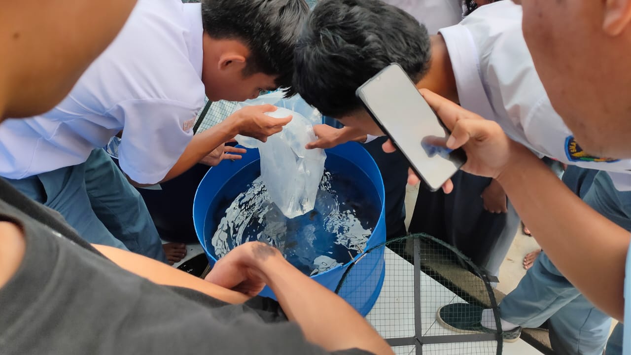 Pengisian Bibit Lele