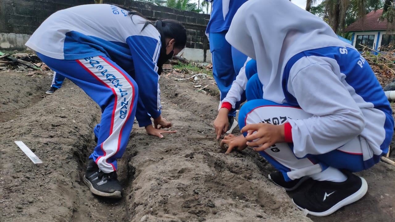 penanaman bibit tanaman