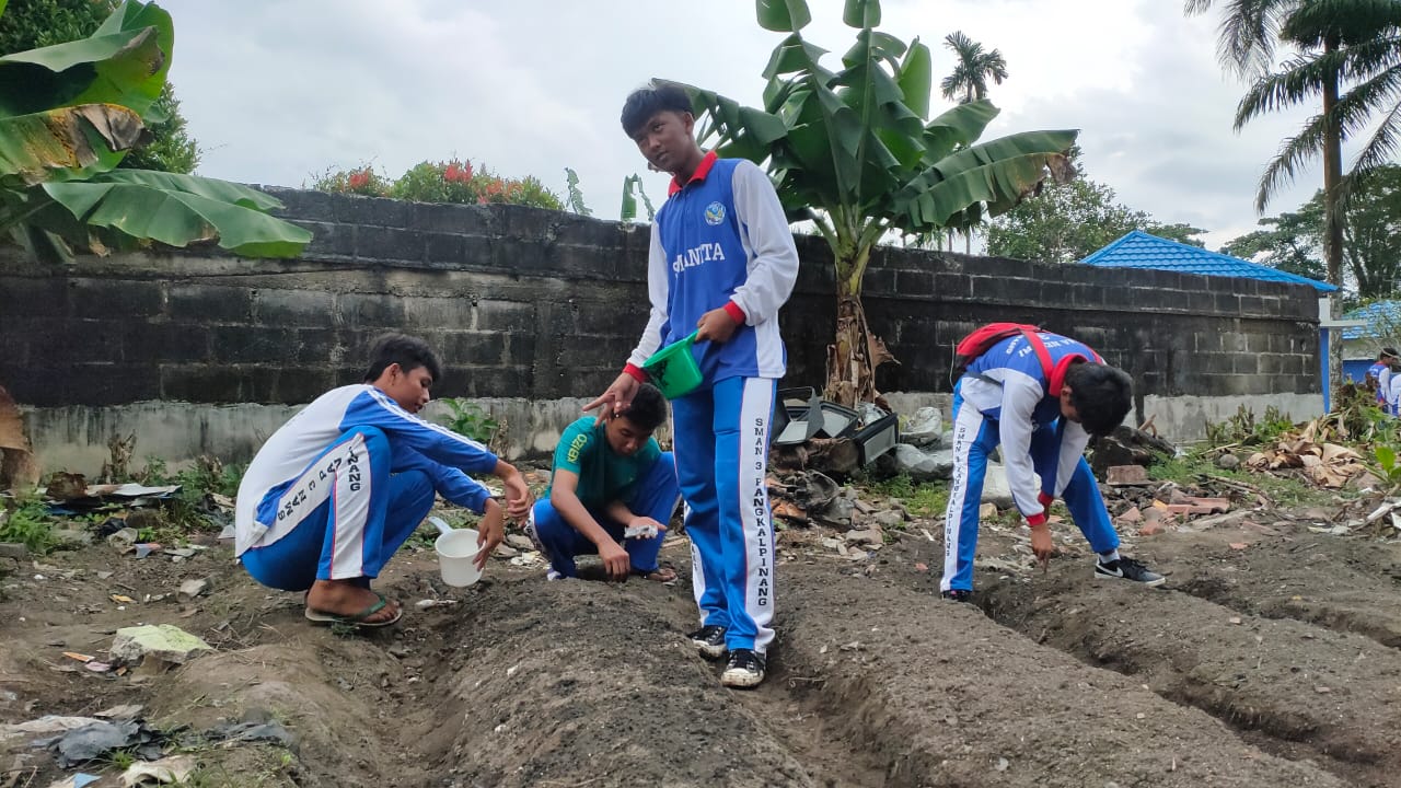 penanaman bibit tanaman