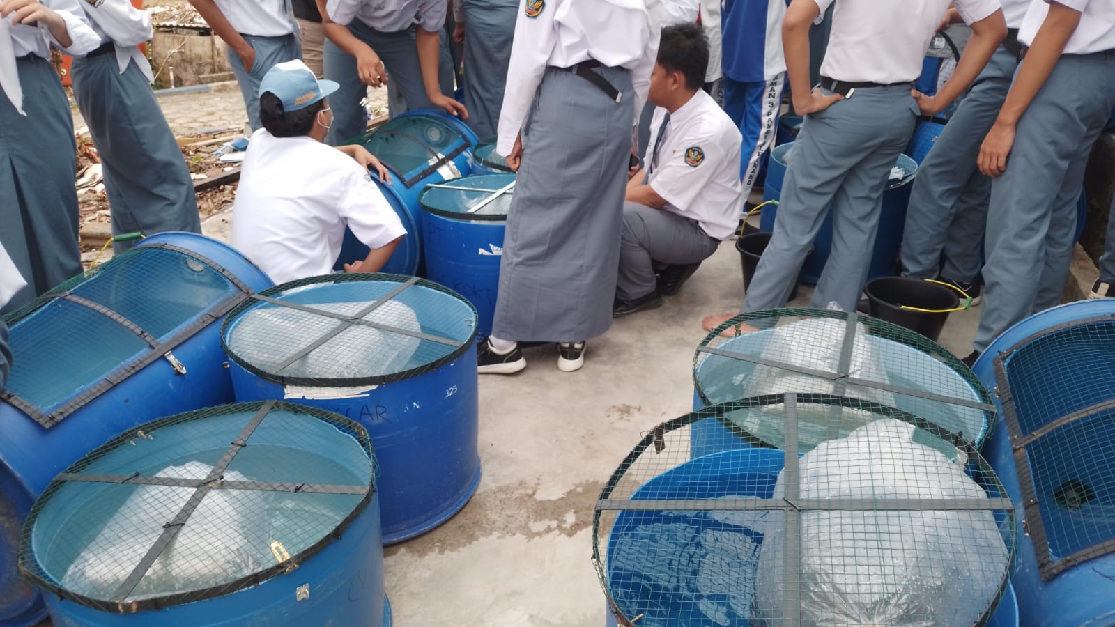 Pengisian Bibit Lele