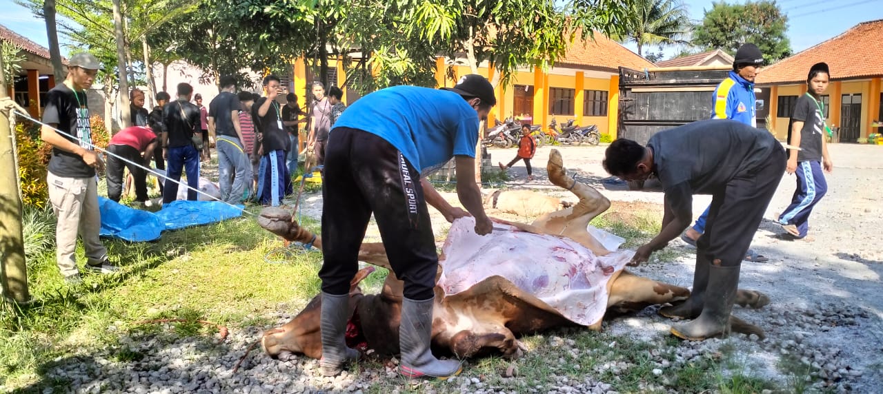PENYEMBELIHAN HEWAN KURBAN
