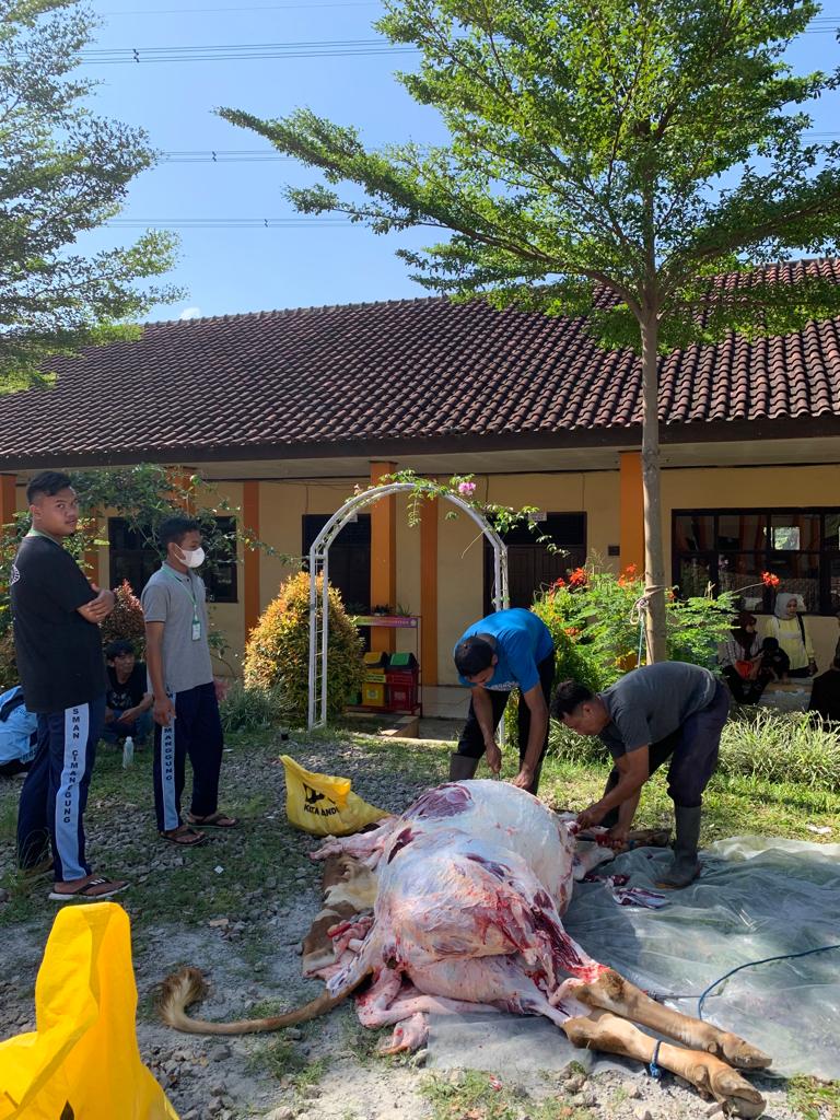 PENYEMBELIHAN HEWAN KURBAN