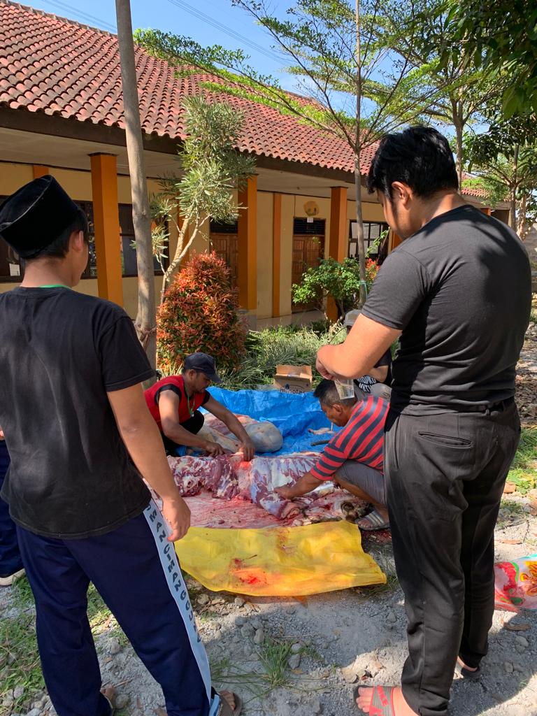 PENYEMBELIHAN HEWAN KURBAN