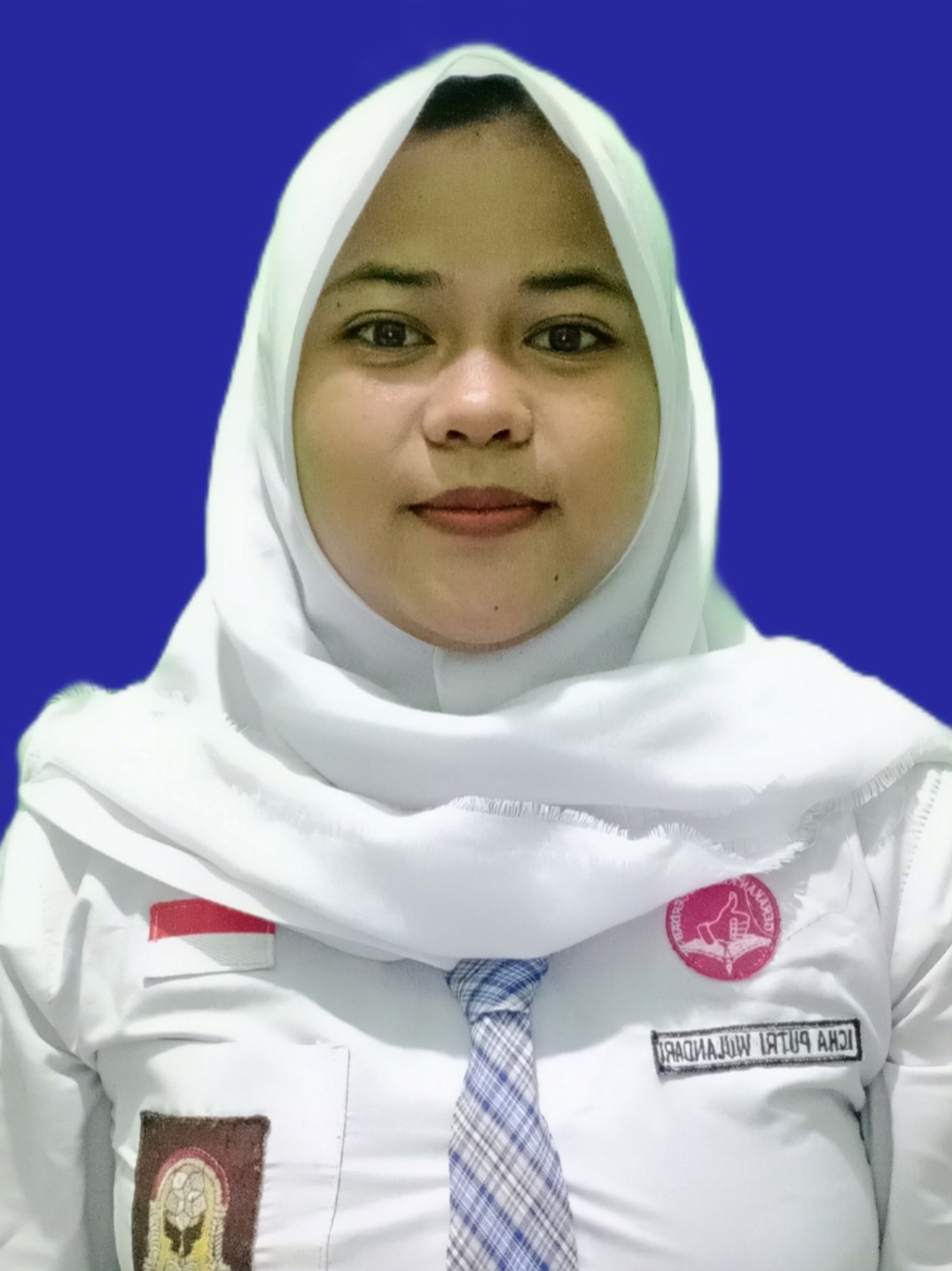 ICHA PUTRI WULANDARI