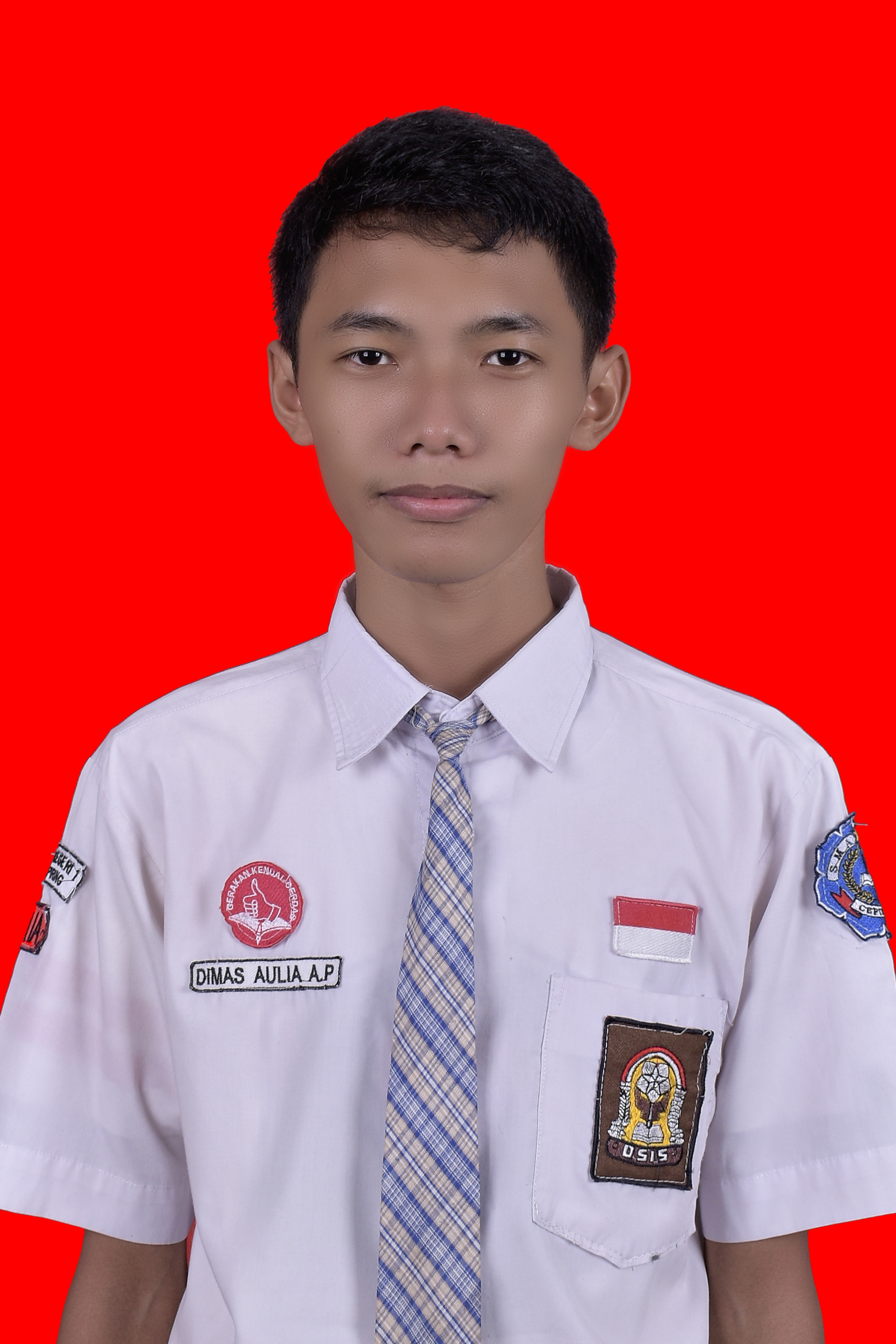 Dimas Aulia A Pambudi
