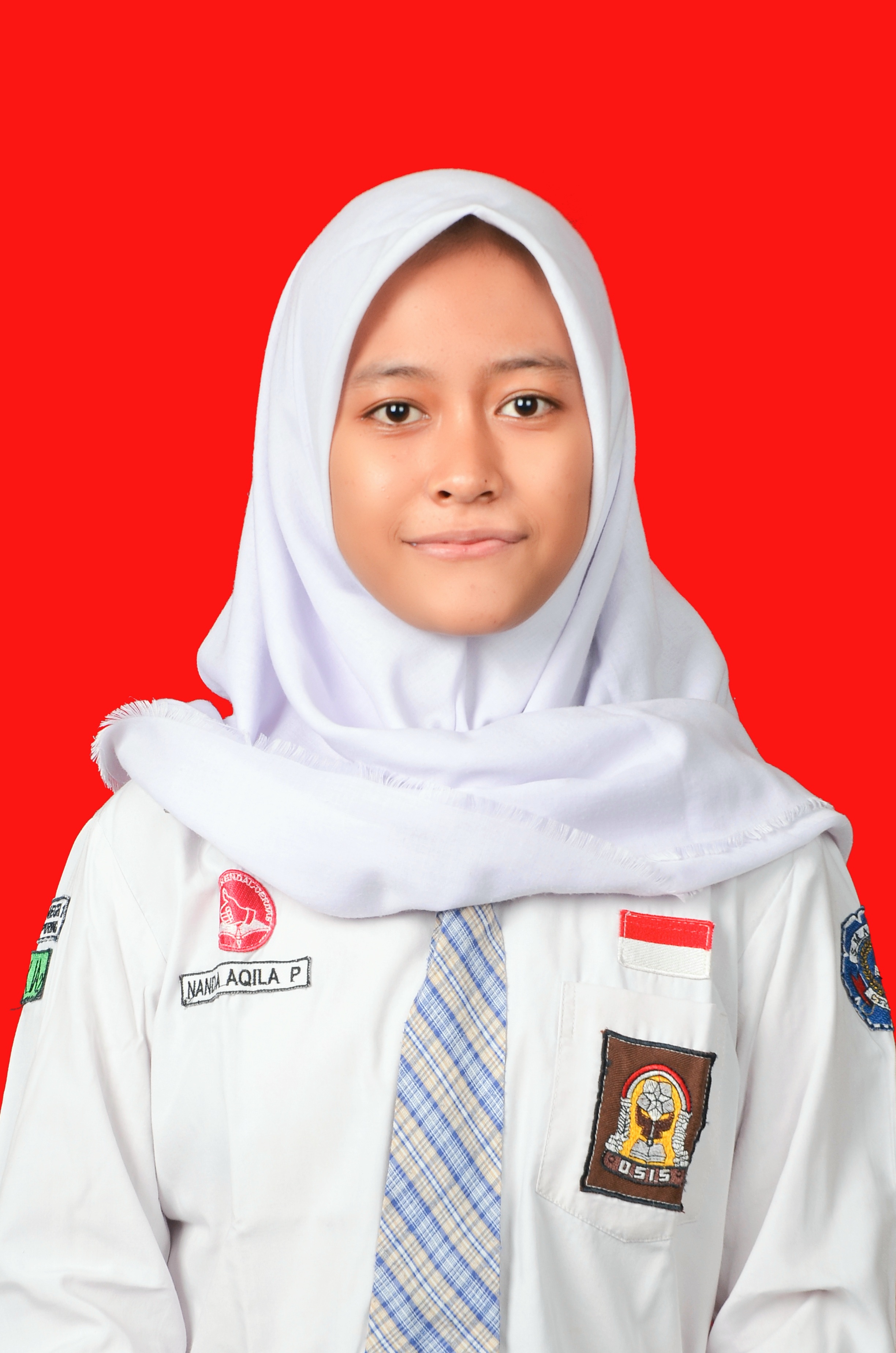 NANDA AQILA PARAMARTA