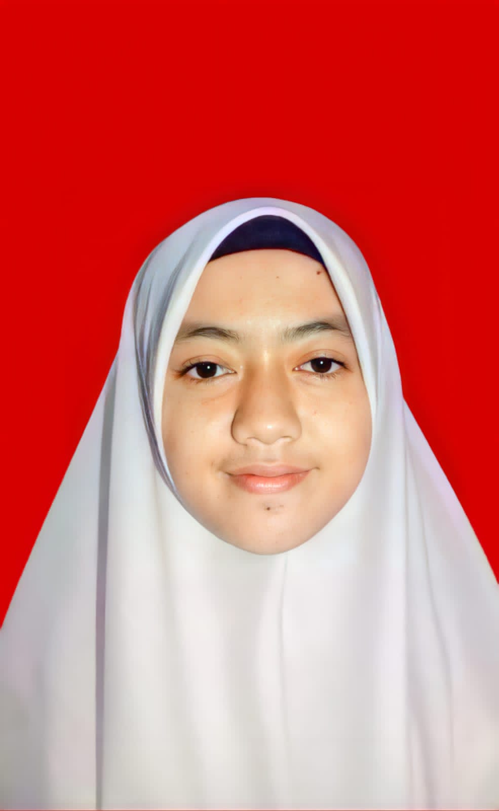 Anggita Fisa Pertiwi