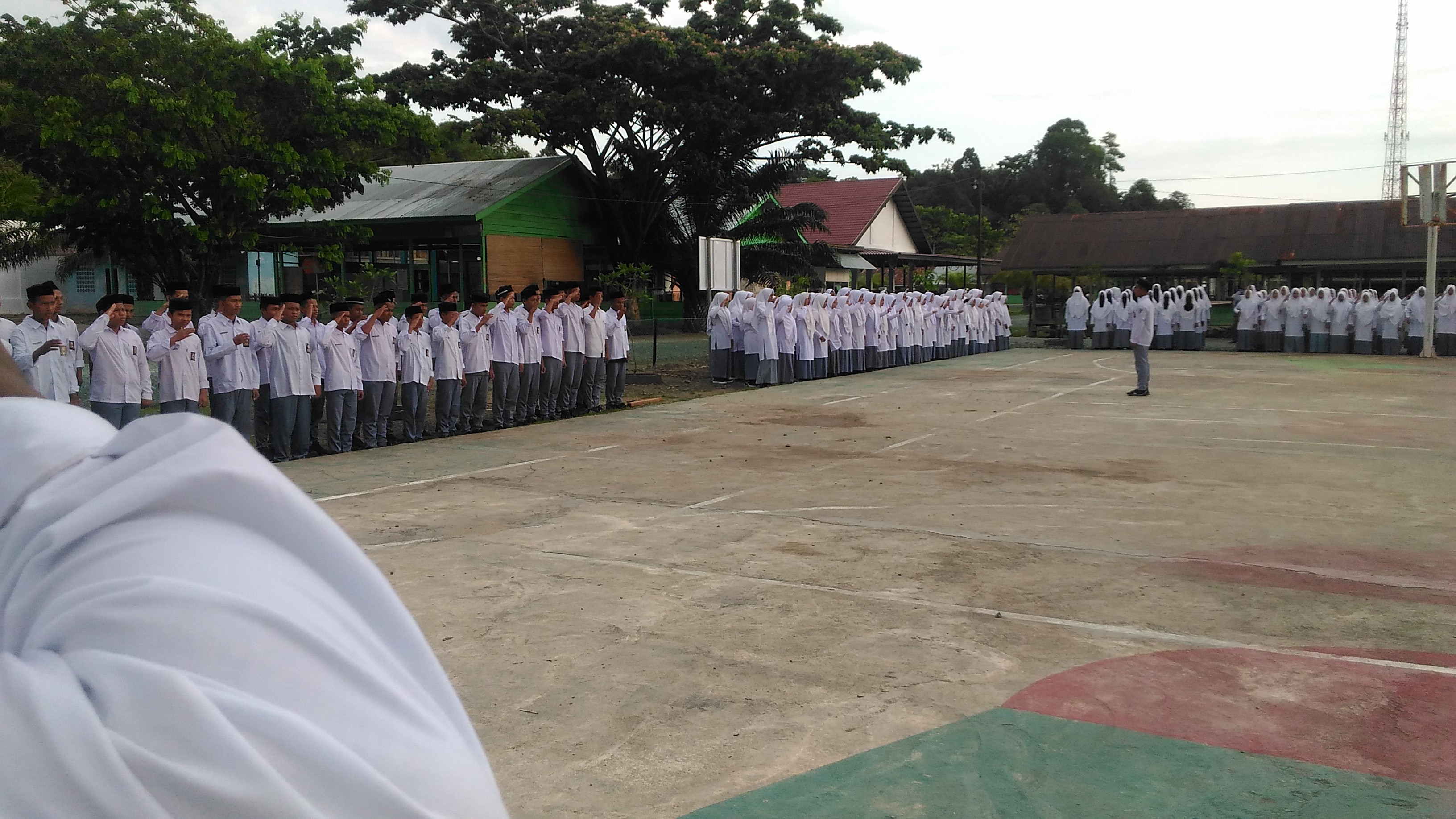 SMASDA HIJAU 2018
