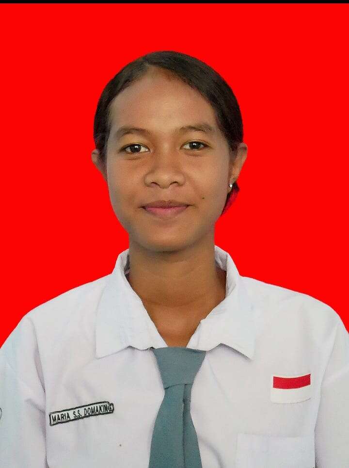 Maria Sartini S. Domaking