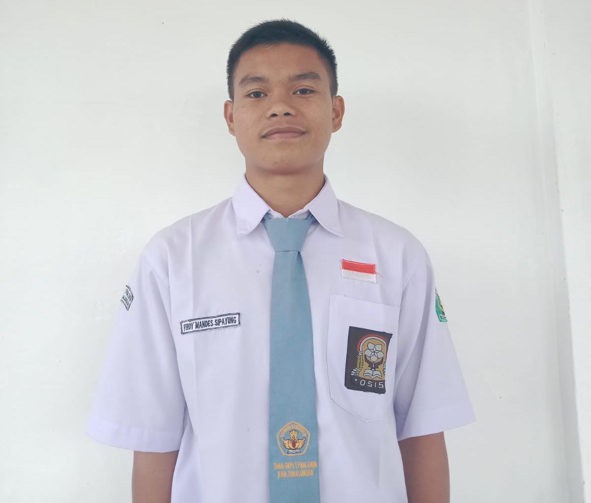 Ferdy Mandes Sipayung