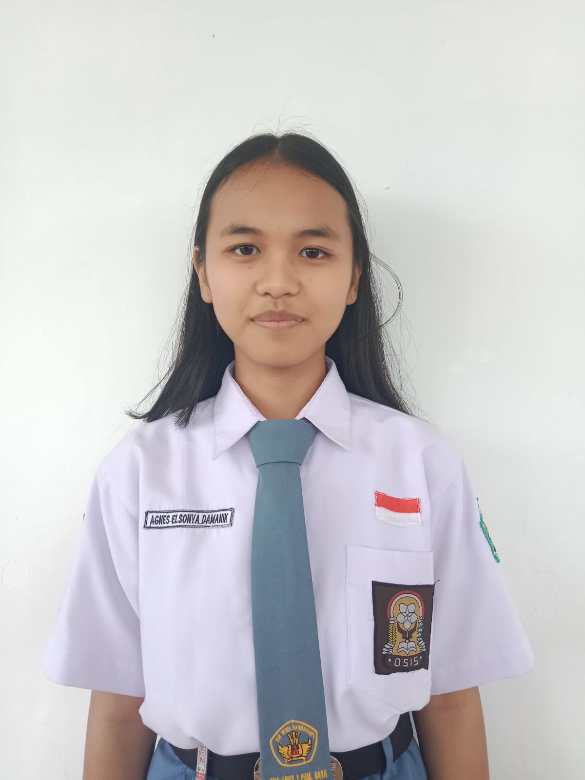 Agnes Elsonya Damanik