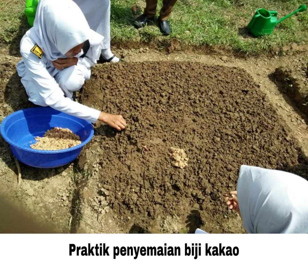 Kegiatan Praktik Menanam oleh siswa siswi