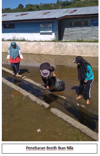 Praktik Budidaya sampai pengolahan ikan