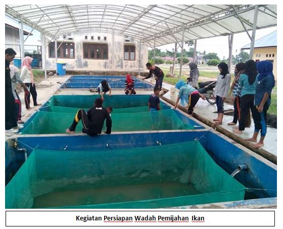 Praktik Budidaya sampai pengolahan ikan