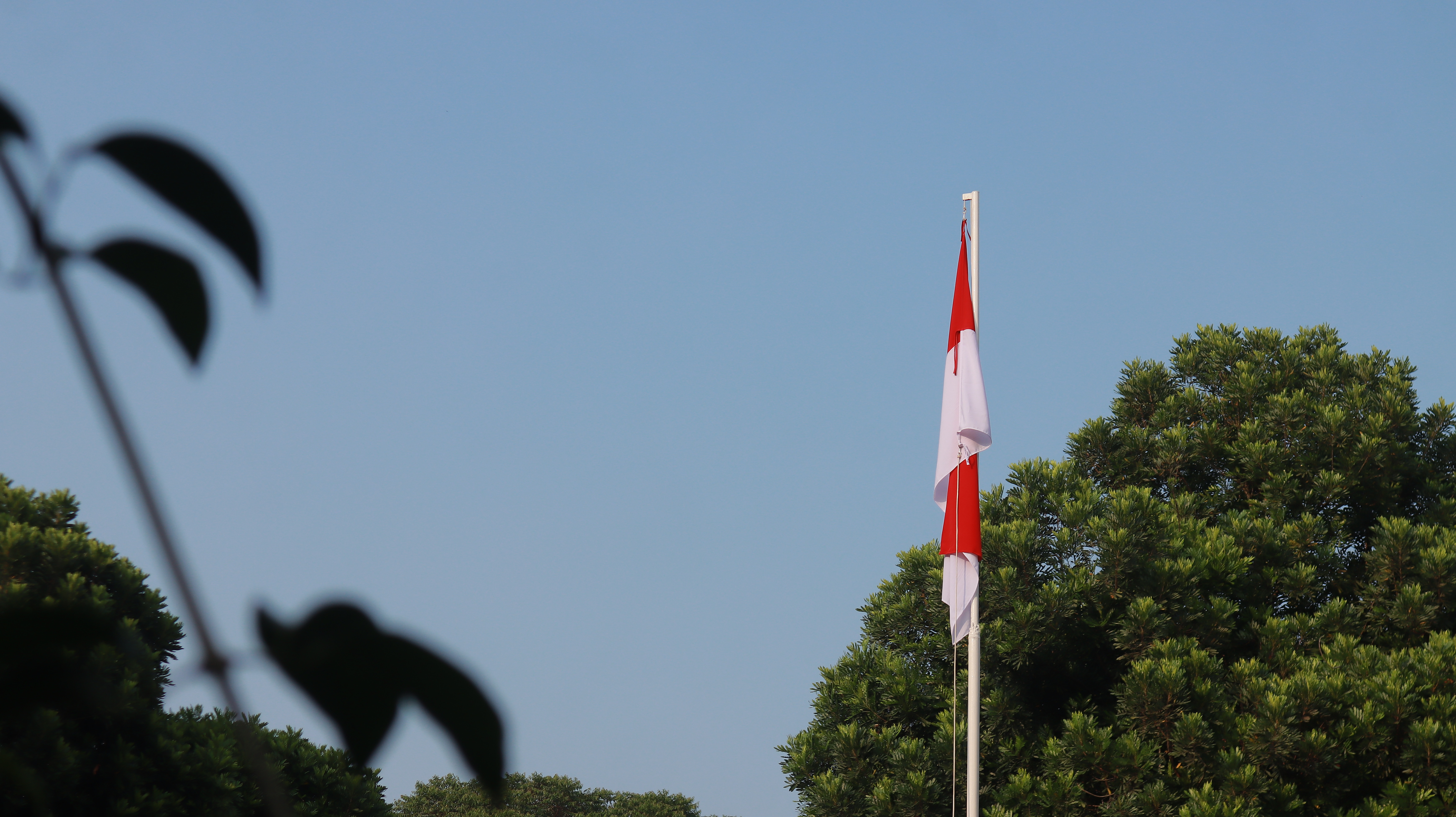 Upacara Bendera di Sekolah