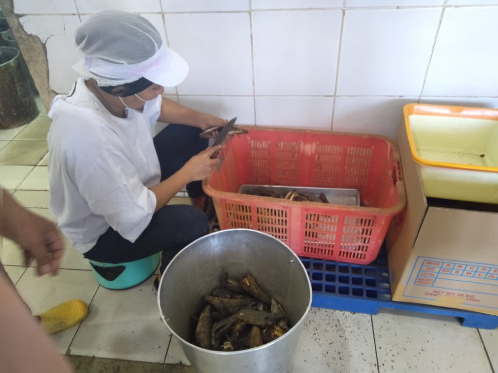 Praktek Program Keahlian Agribisnis Pengolahan Hasil Perikanan