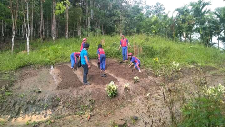 PRAKTIK KELAS XII ATPH (AGRIBISNIS TANAMAN PANGAN DAN HOLTIKULTURA)