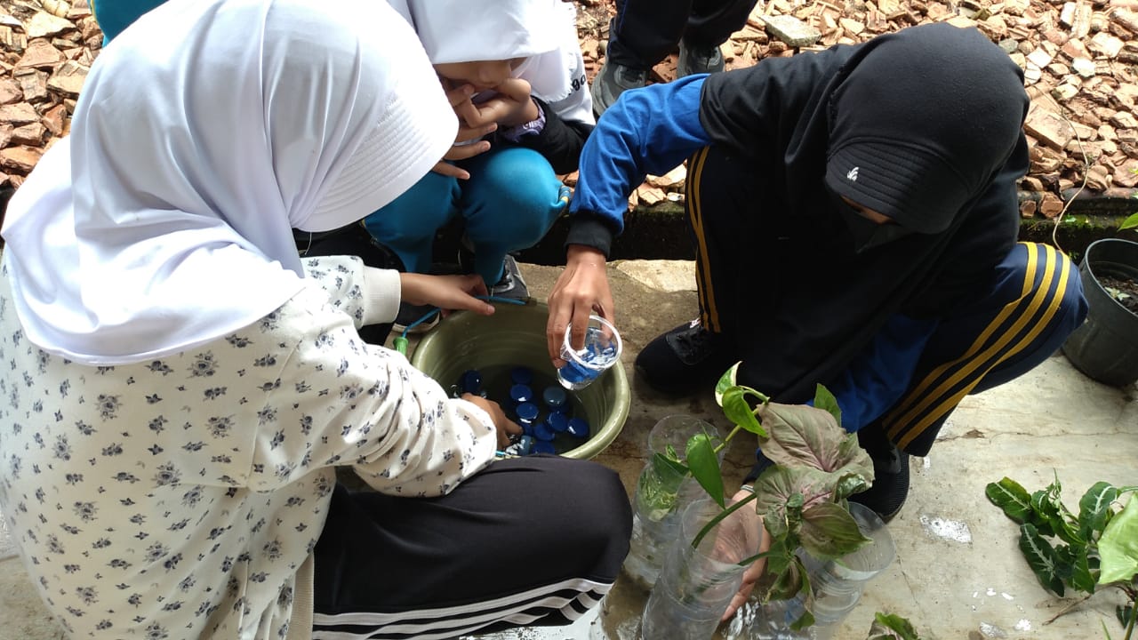 kegiatan rutin bulanan merapikan tanaman