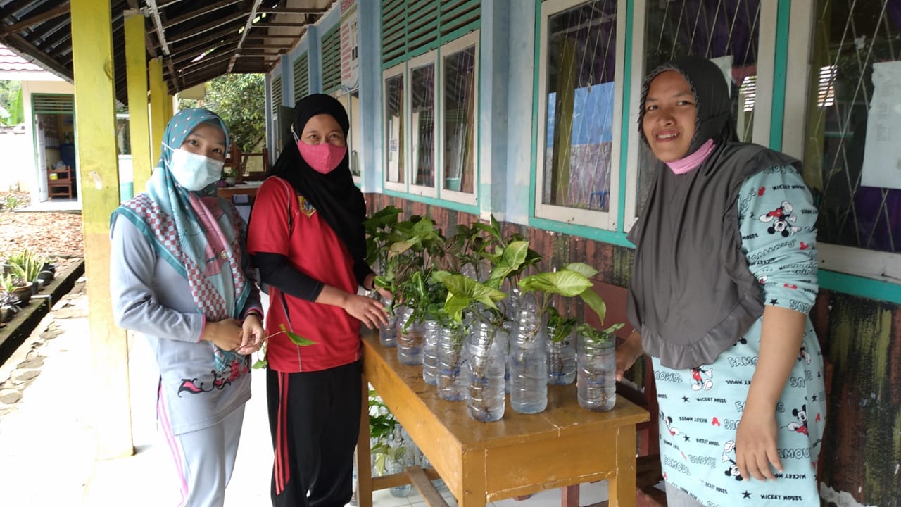 kegiatan rutin bulanan merapikan tanaman