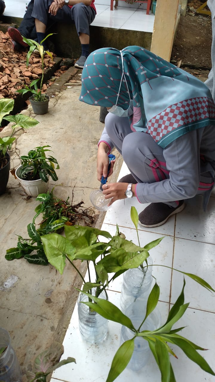 kegiatan rutin bulanan merapikan tanaman