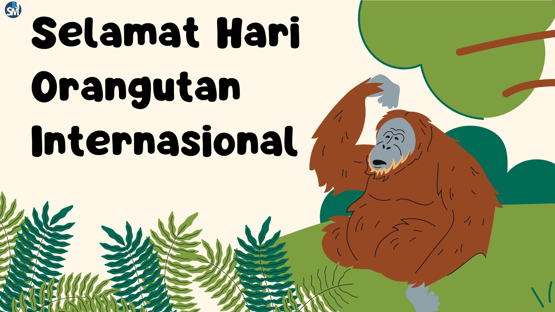 Selamat Hari Orangutan Internasional 2026