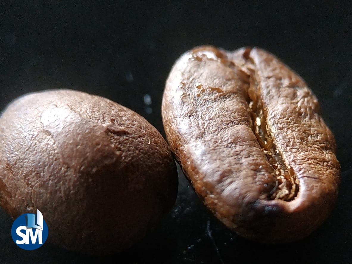 Beralih ke Daring, Strategi Cerdas Petani Kopi Kulon Progo di Masa Pandemi