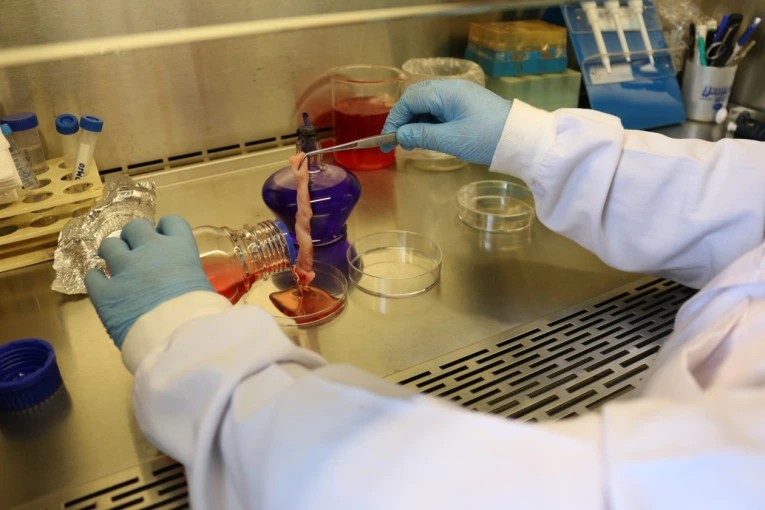 Hanya 5% Kampus di Indonesia Berorientasi Riset, Kegiatan Pengabdian Perlu Digalakkan