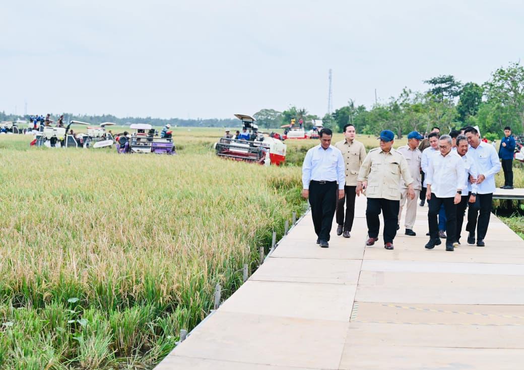 Presiden Prabowo Umumkan Swasembada Pangan Nasional 2025
